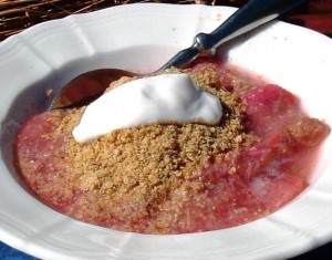Raw ground golden linseed with natural yoghurt and rhubarb compote