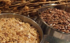 Brown or gold linseed (flax) are nutritionally the identical 