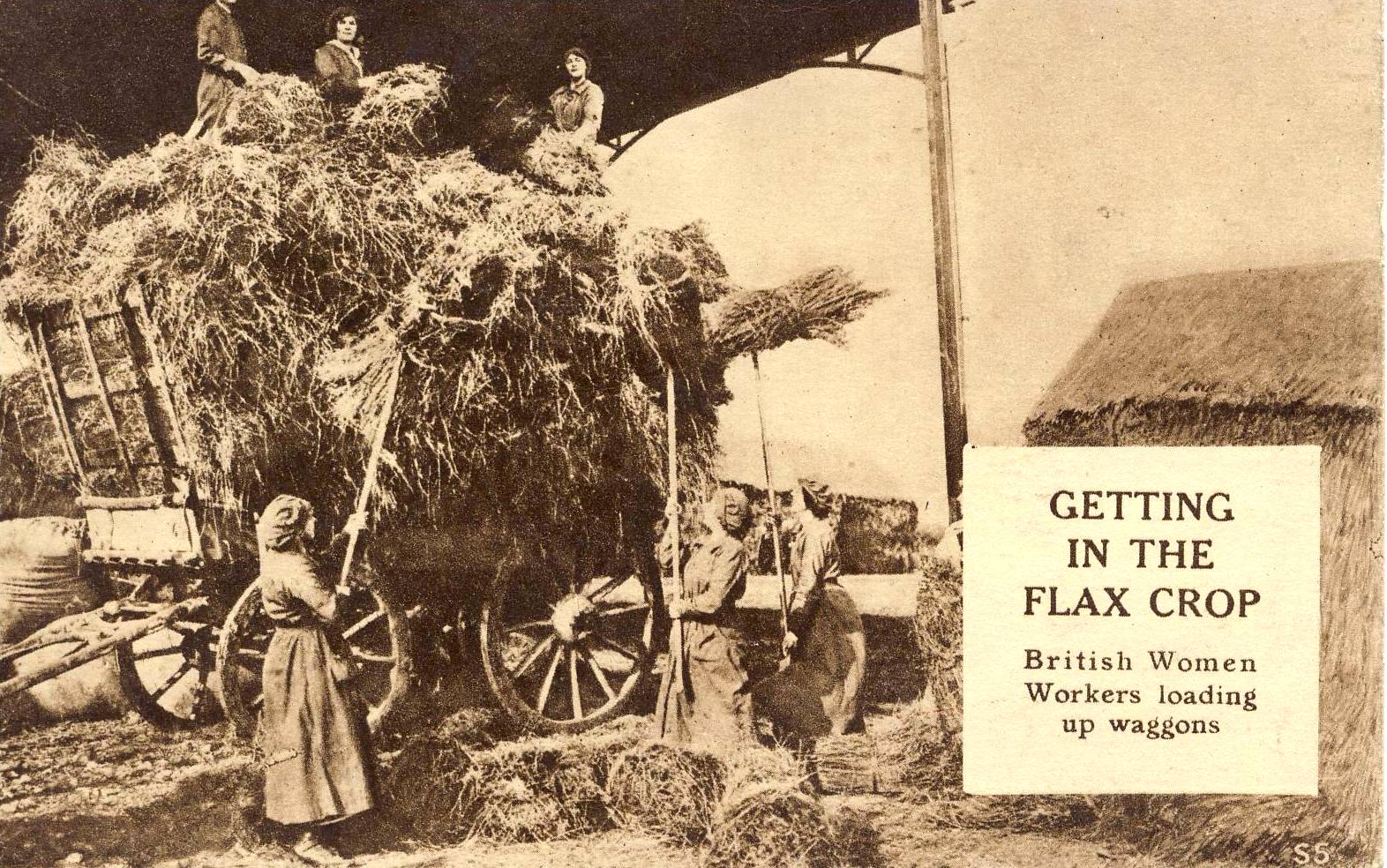 British-women-workers-getting-in-the-Flax-Crop