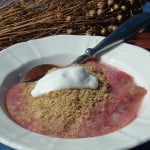 Carb-free breakfast; ground linseed with fruit or rhubarb