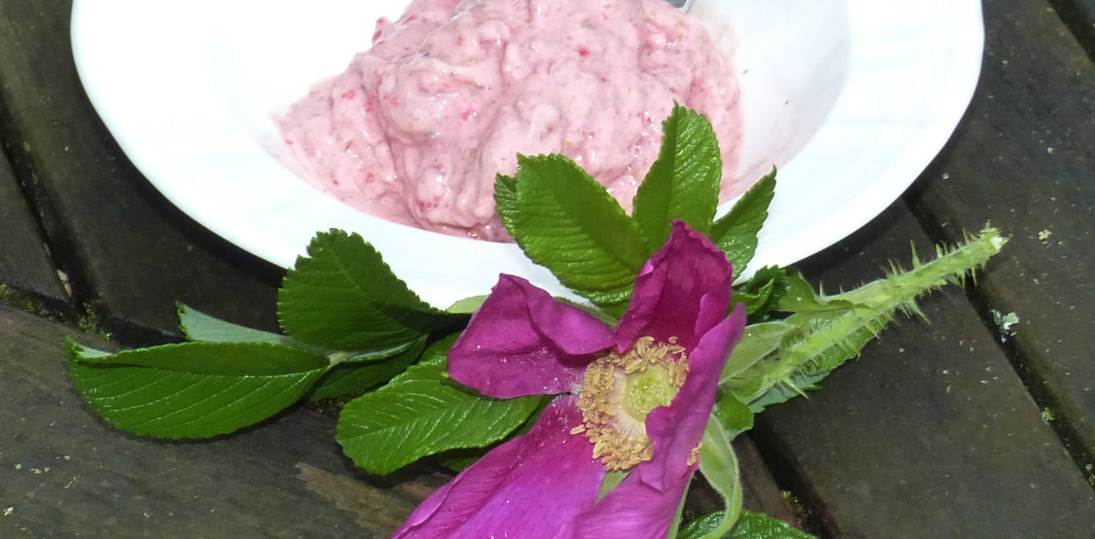 Banana, berry and linseed ice cream. Healthy, omega-3, lower GI, no added sugar and delicious.