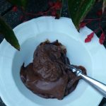 Healthy chocolate ice cream -vegan sugar-free, saturated fat free. High in omega-3 dessert. Bowl of