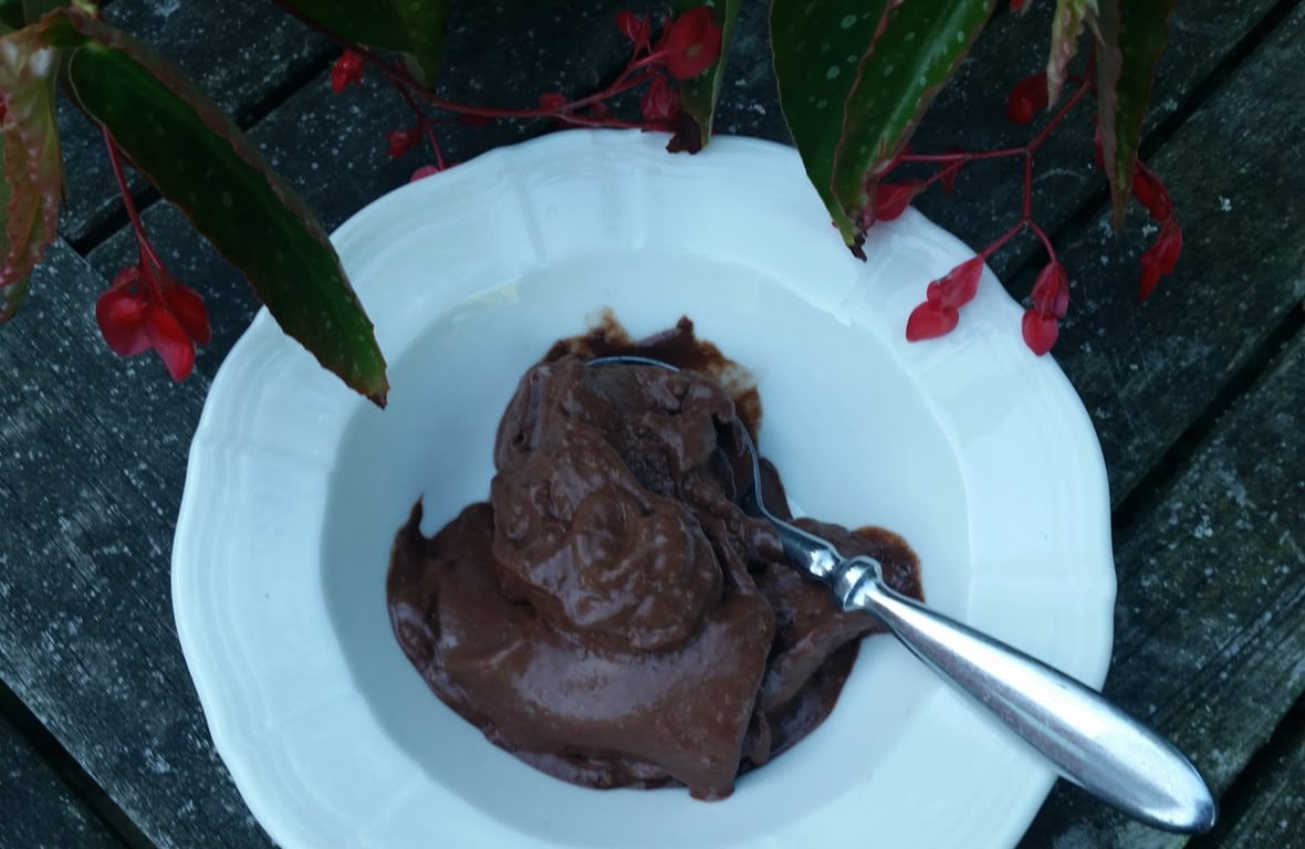 Healthy chocolate ice cream -vegan sugar-free, saturated fat free. High in omega-3 dessert. Bowl of