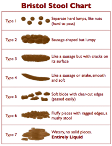 Bristol poo chart shows what healthy poo should look like