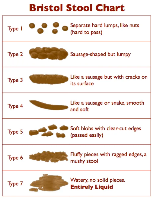 Bristol poo chart shows what healthy poo should look like