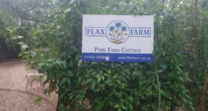 Flax farm shop visit buy linseed